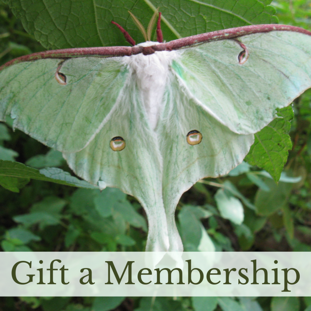 Gift a Membership Link